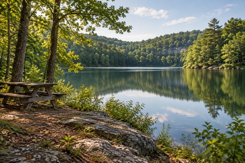 Generated photo-style illustration of a peaceful wooded lake