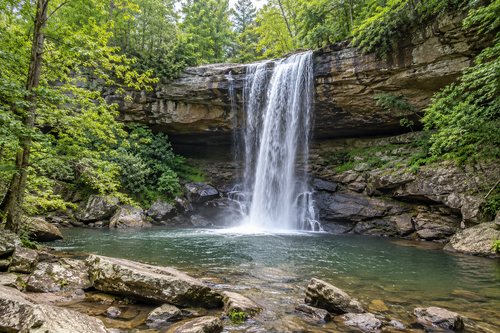 Generated photo-style illustration of a woodland waterfall